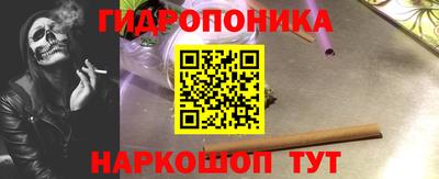спиды Кимры