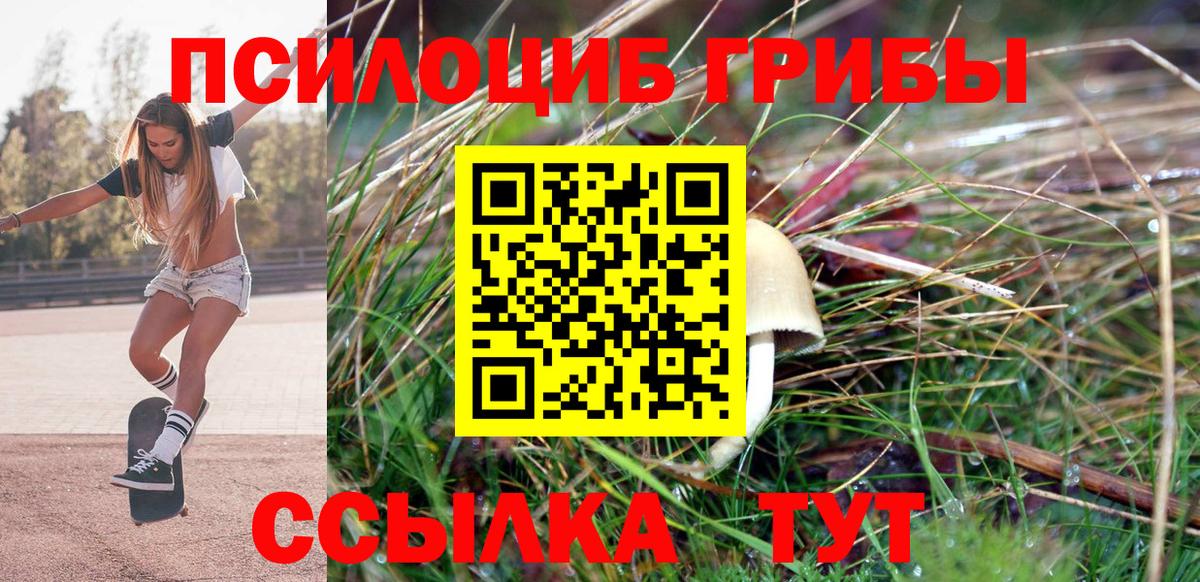Галлюциногенные грибы прущие грибы  что такое наркотик  Валуйки  Вход с VPN 