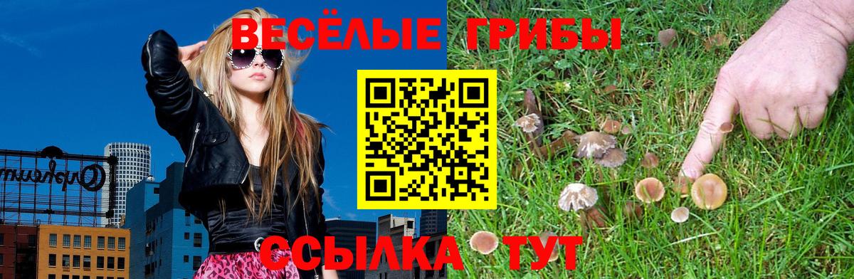 Псилоцибиновые грибы Cubensis Валуйки