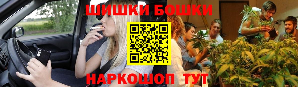 Валуйки  МАРИХУАНА сатива  Бошки марихуана планчик  Вход с VPN  Бошки Шишки сатива 